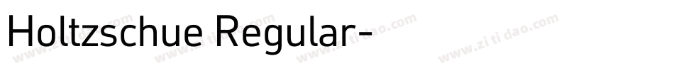 Holtzschue Regular字体转换